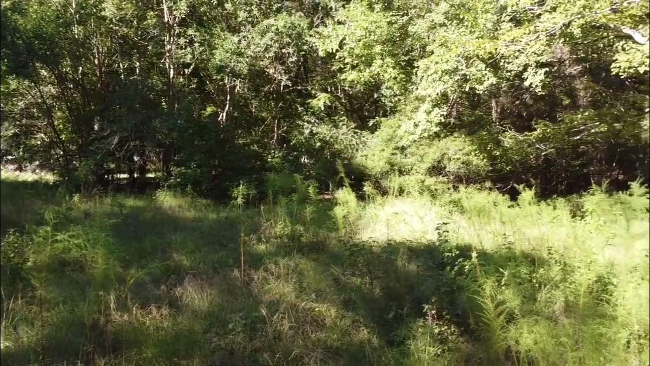 1 Acre Williamsburg County, SC Tax Map 45207080 102 Ranzie