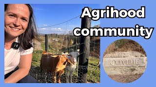Olivette  a working farm and riverside community in Asheville NC