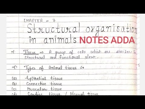 Class 11 Biology Chapter 7 Structural organization in animals best  handwritten notes ||Notes Adda|| - YouTube