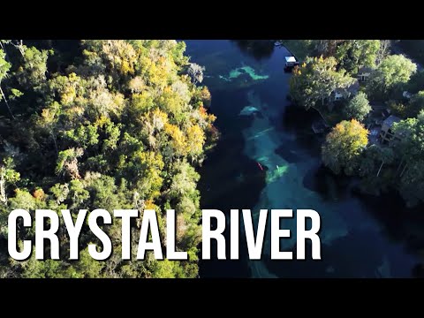 Crystal River State Park in Florida