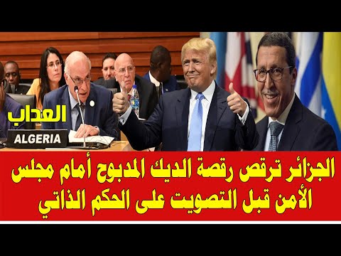 الحكم الذاتي في الصحراء المغربية الجزائر ترقص رقصة الديك المدبوح أمام مجلس الأمن