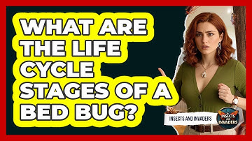What Are The Life Cycle Stages Of A Bed Bug? - Insects and Invaders