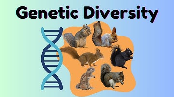 Genetic Diversity Explained 🧬 | Why It’s Vital for Species Survival and Ecosystem Health