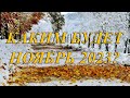 КАКИМ БУДЕТ НОЯБРЬ 2023? НАСТРОЙКА НА УСПЕШНУЮ ВОЛНУ!!!