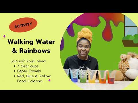 Walking Water Experiment, Genesis 9 & Rainbows and colors 🌈 | Torah Tots | Bible for Toddlers