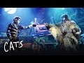 Old Deuteronomy Chooses the Heaviside Layer | Cats the Musical