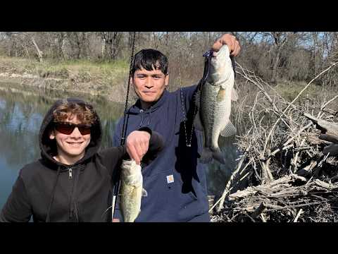 Took some first timers Bass Fishing , the scored!