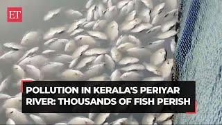 Kerala: Dead fish seen floating in Periyar river in Kochi; farmers blame pollution control officials