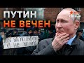 ЕДИНСТВЕННЫЙ шанс ИЗБАВИТЬСЯ от ЛЮДОЕДА из Кремля — ЭТО….