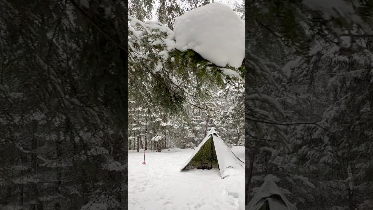 Astuce Camping d'hiver | Choisir un bon abri #initiation #camping