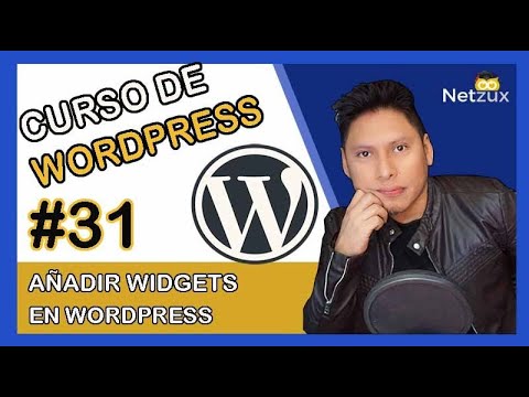 🥇 WordPress Widgets Tutorial ✅ Add and Customize 【VIDEO 31】