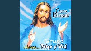 Video thumbnail of "Grupo Trigo y Vid - 04 ya no andes vagando"