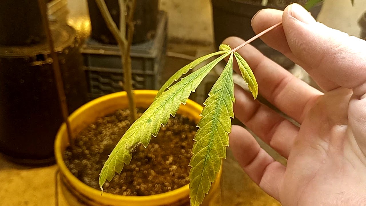 how to identify deficiencies in your plans easily