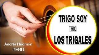 Video thumbnail of "TRIGO SOY - TRIO LOS TRIGALES Sayan PERU"