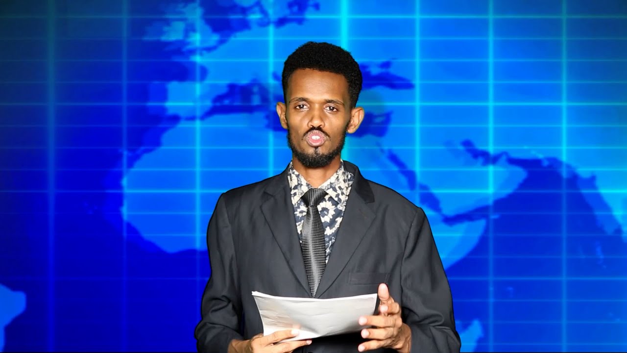 Warka Universal TV  03 02 2026