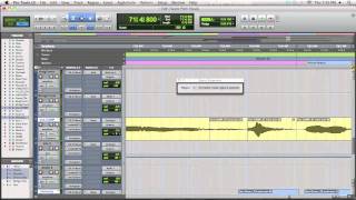 Famous Elastic Pitch On Vocals In Pro Tools - TheRecordingRevolution.com Wealth