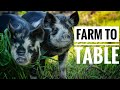 FARM TO TABLE Pork | How Does it Taste - What Did it Cost 💲