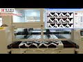 smart vision dual head laser for cutting swimming trunks