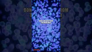 Your Body Is DISSOLVING Bone to Keep You ALIVE