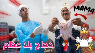 نيبا ونخنوخ ولعضام صاوبو أكبر دجاجة في عالم ?