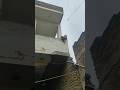 Bandar ne kya jump mari hai #vlogs #minivlog #dailyvlog #