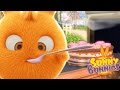 Dessin animé pour petit | Sunny Bunnies | épisode comple |  Cartoons drôles pour les enfants