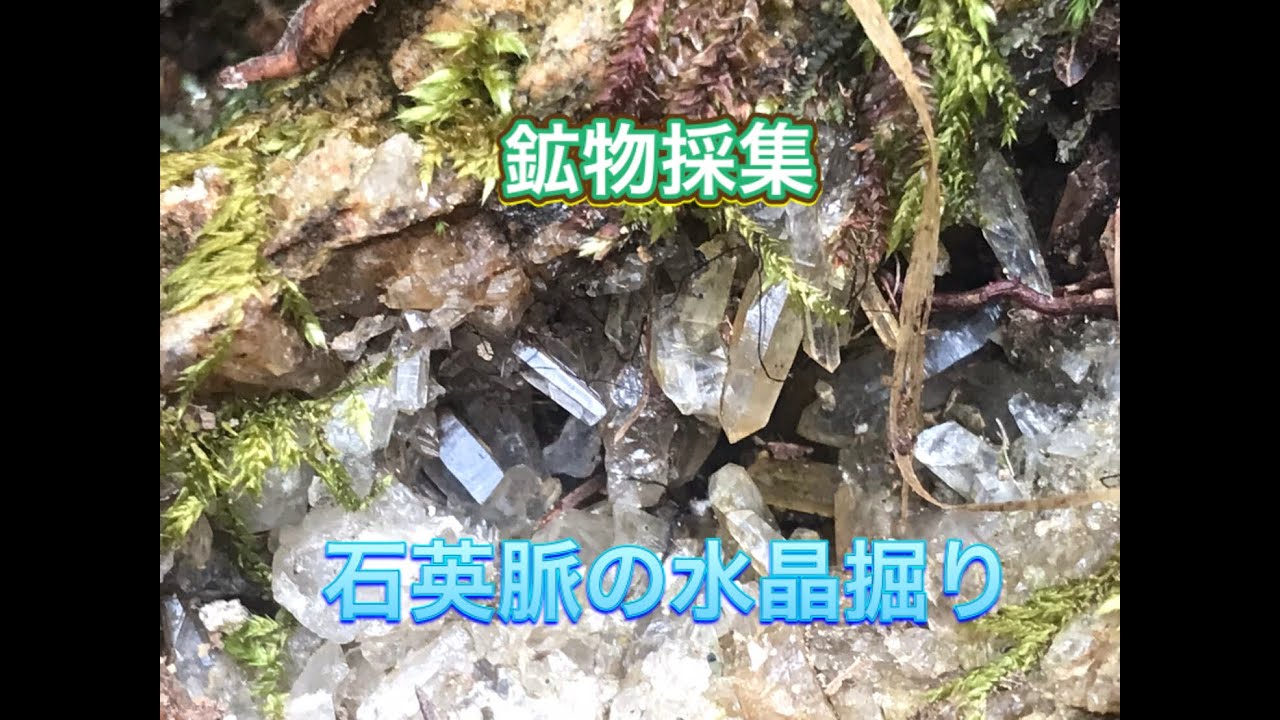 鉱物採集　石英脈の水晶掘り