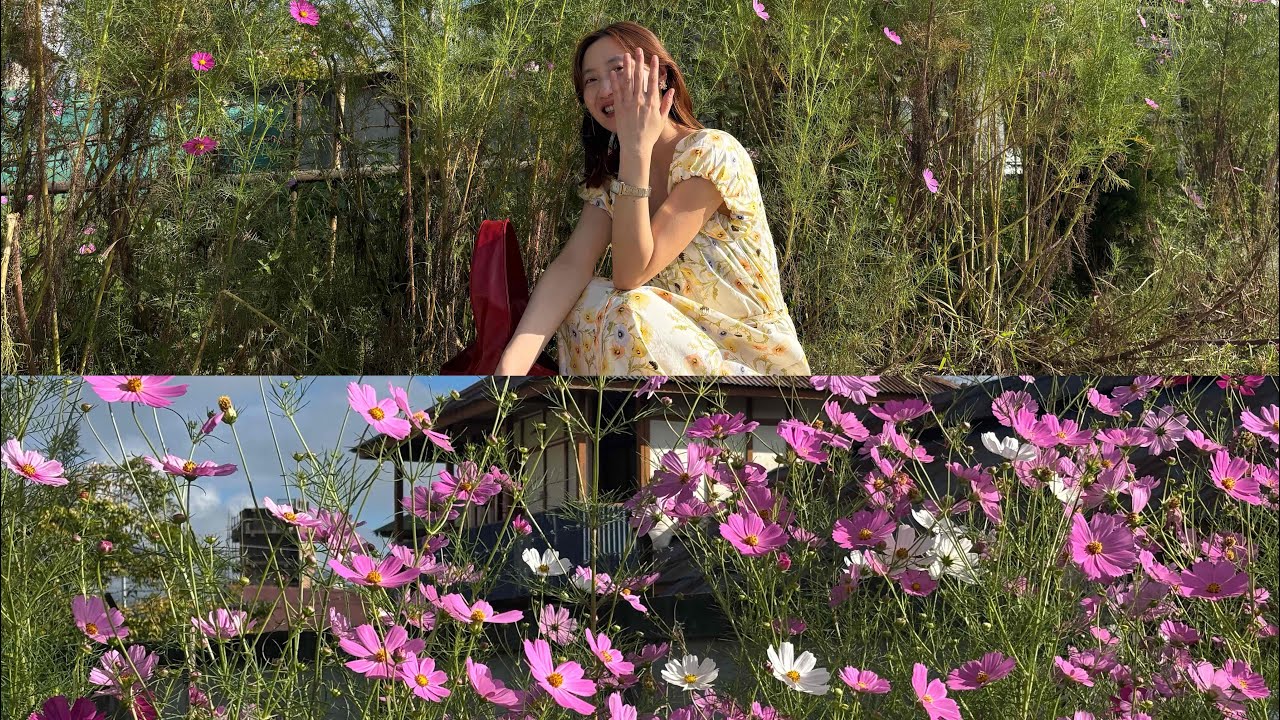 Ziro music festival 2025 / Day:3