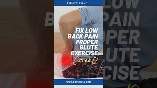 Discover the solution to low back pain with CoreXcell! 🤩 #corex12 #backpainrelief #lowbackpain