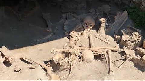 Mountain - Duncan Reed (Official Video)