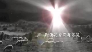 Video thumbnail of "台北復興堂 -『他一直都在』｜ 曲：許智皓 ｜詞：鄭世成  _TRC_"