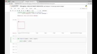 Debugging raise and assert statements