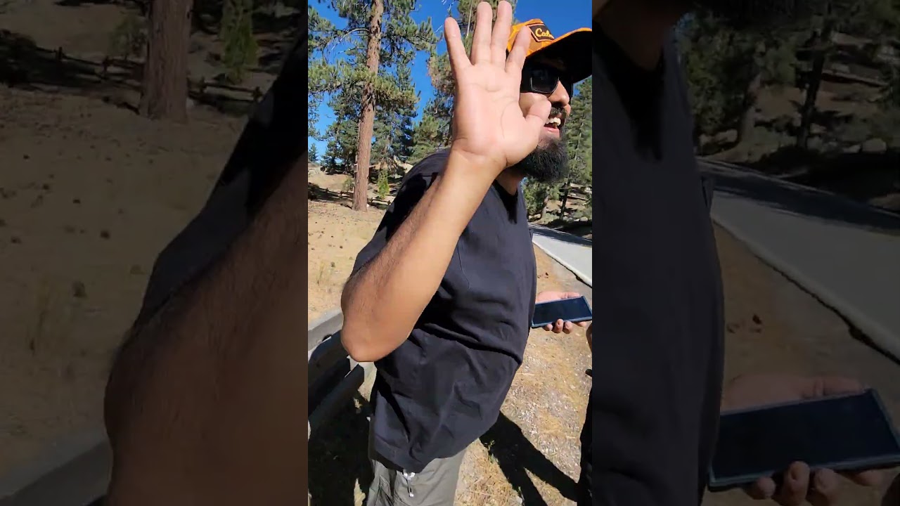 JACKIE OR SHADOW FLEW OVER US 🦅                          #baldeagles #bigbear #birdwatching #shorts