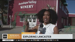 SoCal Spotlight: Lancaster's Antelope Valley Winery