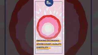 cigarette product Reynolds Brands