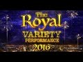 The Royal Variety Performance 2016