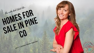 Homes For Sale in Pine CO