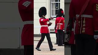 COLDSTREAM GUARDS PREPARATION
