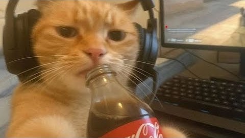 🔴| Live Stack Ball 3D Highest ScoreChallenges #shorts #stackball #stackball3d #stackballgame #viral