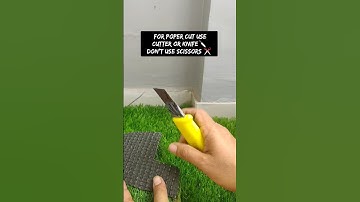 Install Green Grass Easily By yourself 💚♥️ #shorts #gardening
