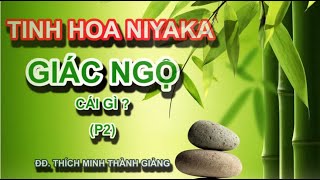 Tinh Hoa NIKAYA - Giác Ngộ Cái Gì? Phần 2