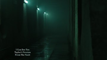 Taylor Swift - I Can See You (Taylor’s Version) (From The Vault) (Lyric Video)