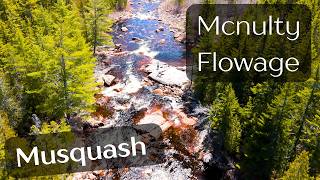 Bushwhackin' Exploration of Mcnulty Flowage Whitewater New Brunswick NB West Branch Musquash River