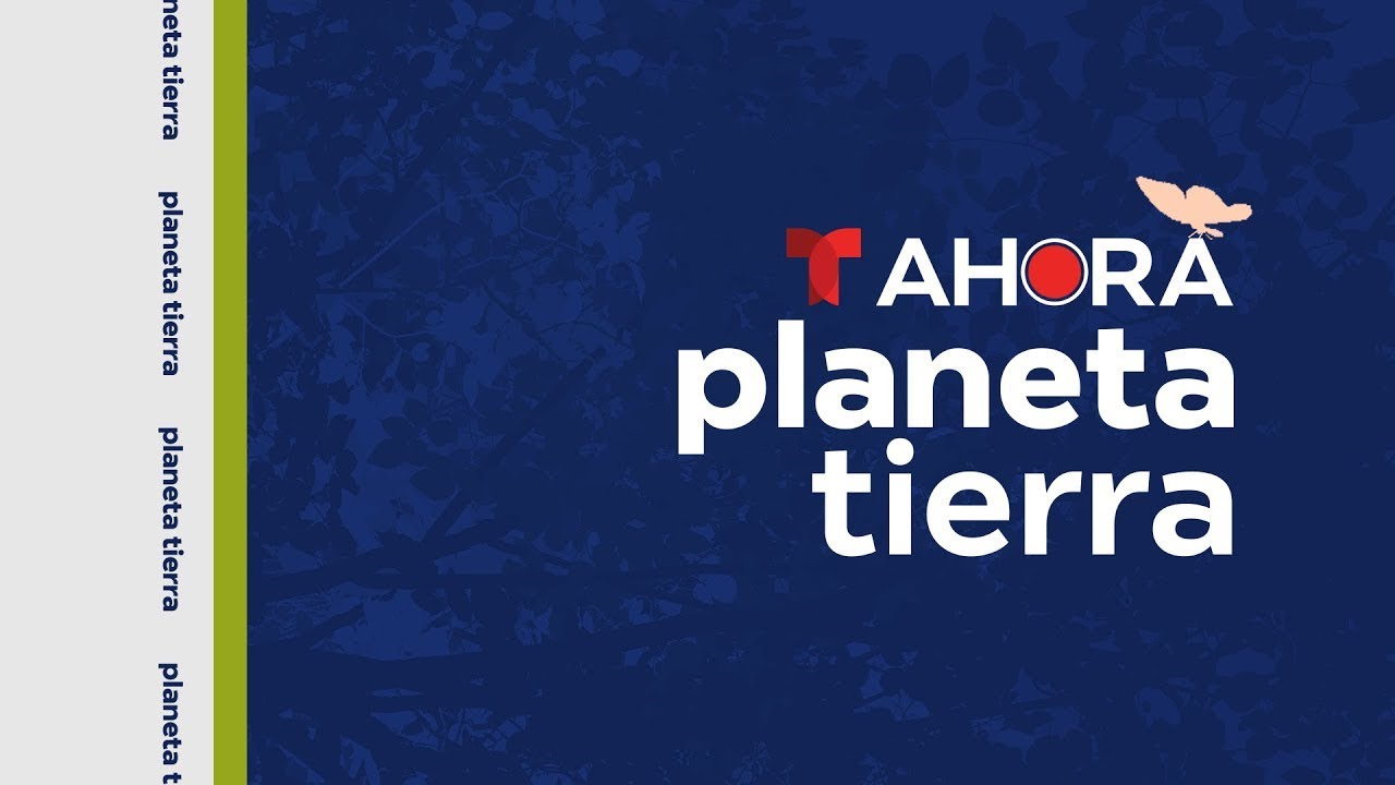 AHORA Planeta Tierra, sábado 13 de diciembre de 2025