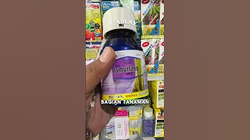 Fungisida Ampuh Banget Buat Jamur