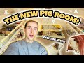 RENOVATING MY PET ROOM FOR 16 GUINEA PIGS! 😱✨🐽