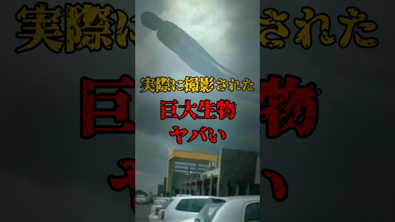 実際に撮影された巨大生物がヤバい　#都市伝説 #ミステリー #巨大生物 #怖い #不気味