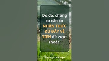 052 | Triết lý giáo dục tận gốc  #baihoccuocsong #trietlygiaoductangoc  #trietlynhansinh #wit