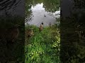Enjoy the beauty of nature !#beautyofnature  #naturelovers  #nature #viral