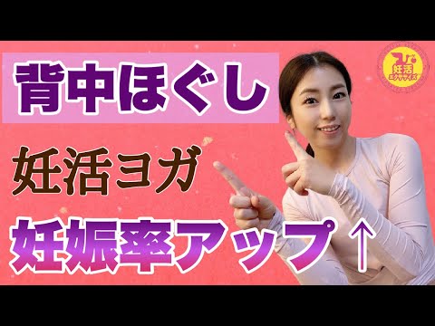 DVD 妊活体操 エクササイズ 理学療法士考案 妊娠体質 フィットネス 妊活 DVD 妊活体操 エクササイズ 理学療法士考案 妊娠体質